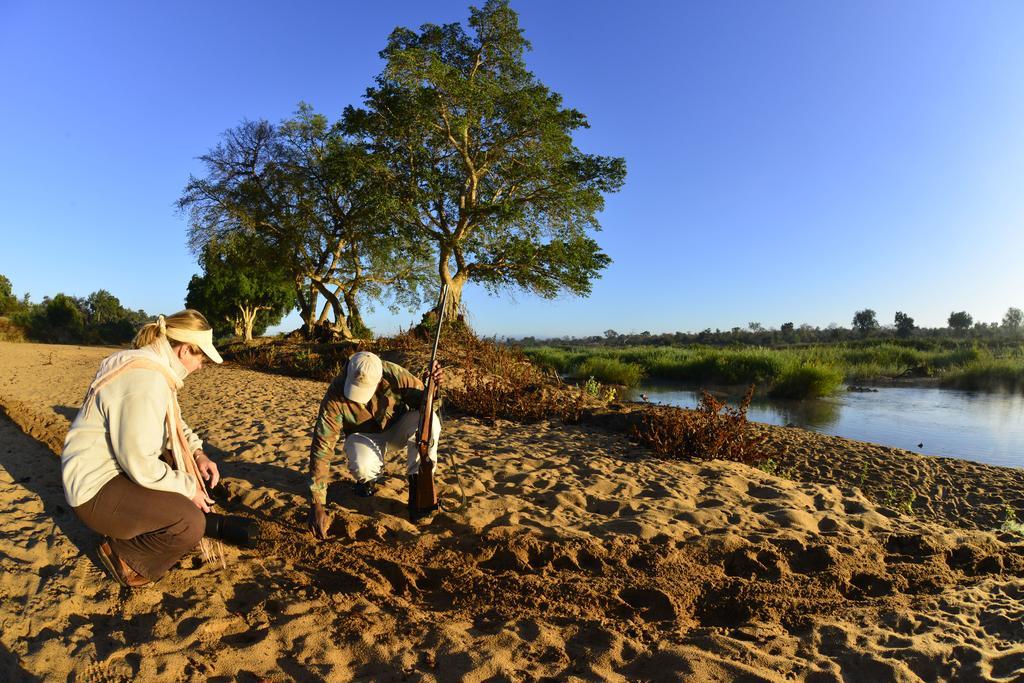 Mtomeni Safari Camp Hotel Phalaborwa Buitenkant foto