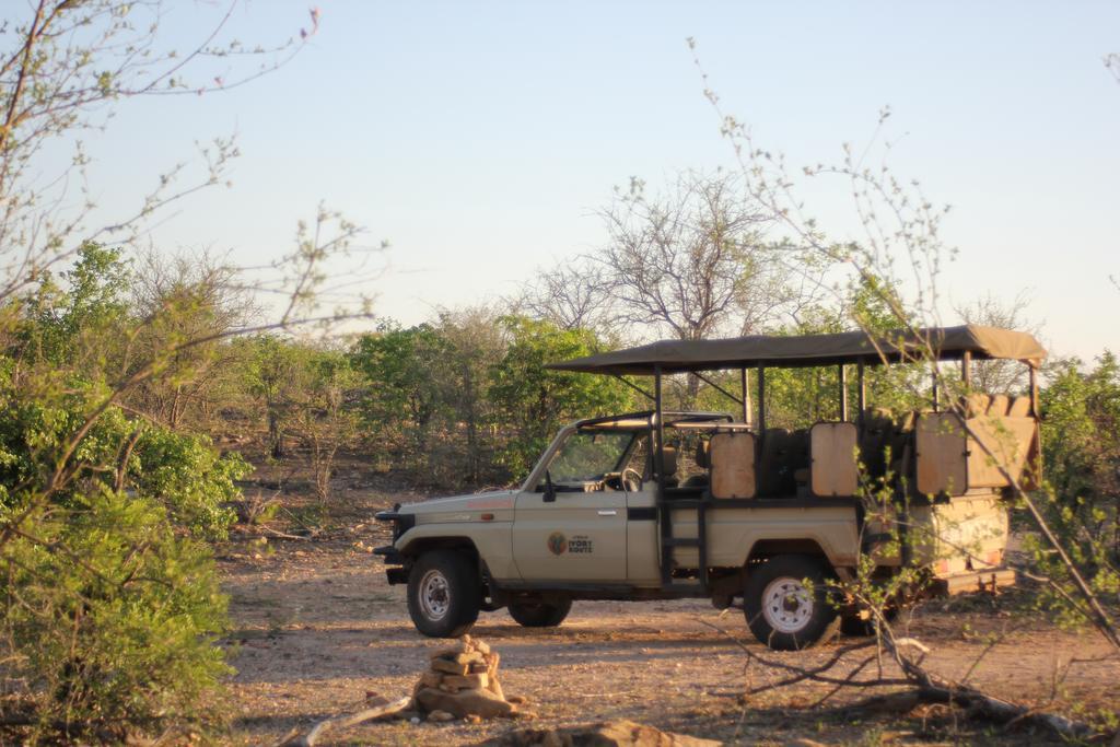 Mtomeni Safari Camp Hotel Phalaborwa Buitenkant foto