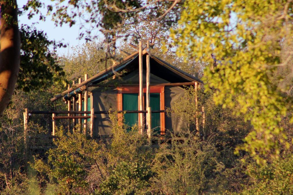 Mtomeni Safari Camp Hotel Phalaborwa Buitenkant foto